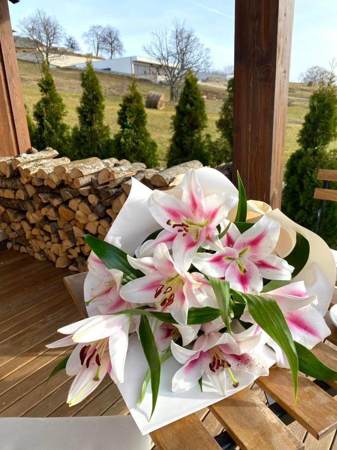 Golden Chalets Zlatibor Exterior foto